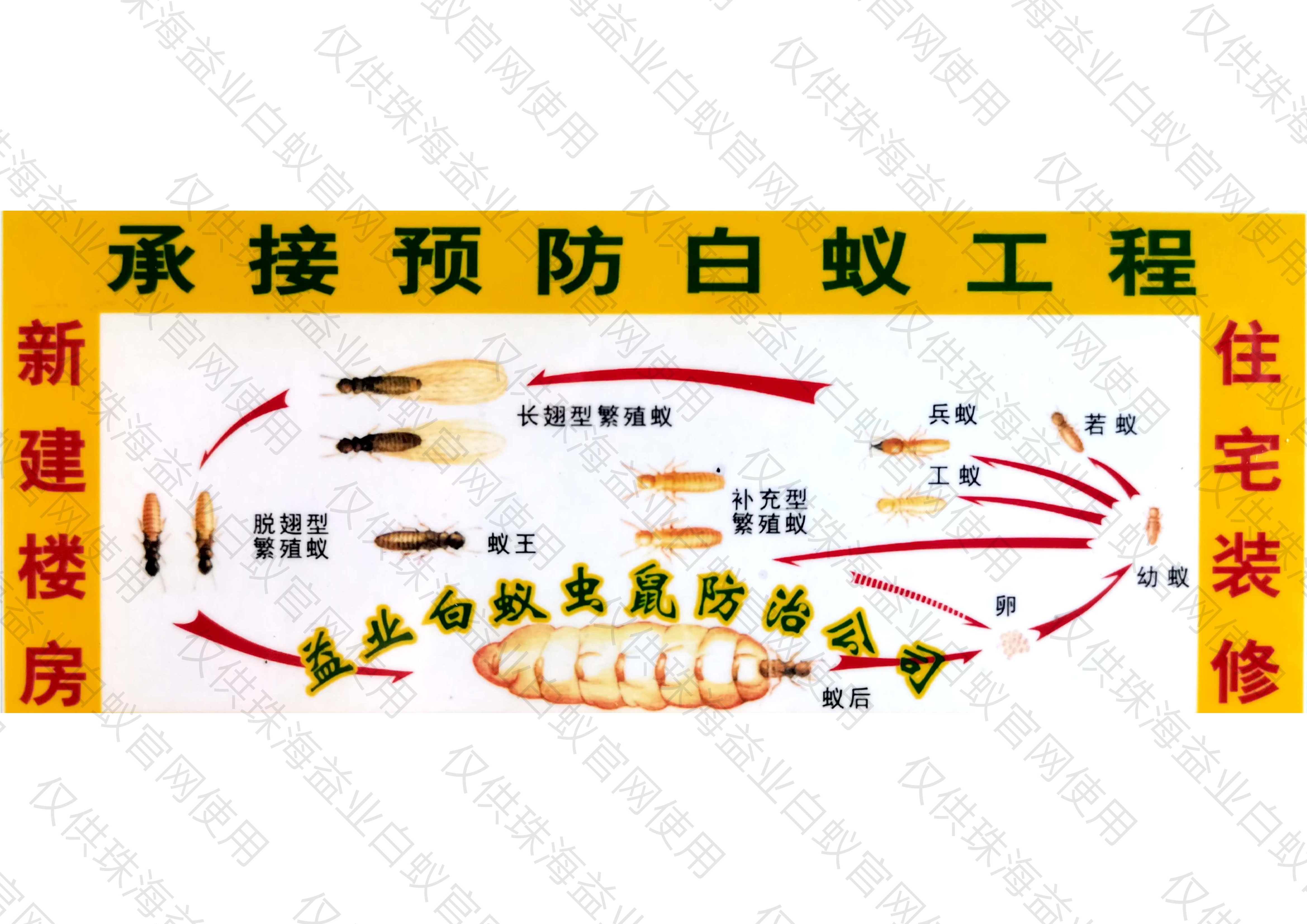 珠海白蟻防治